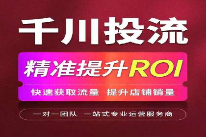 百度竞价广告投放的ROI优化：经典案例分享